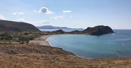 lemnos
